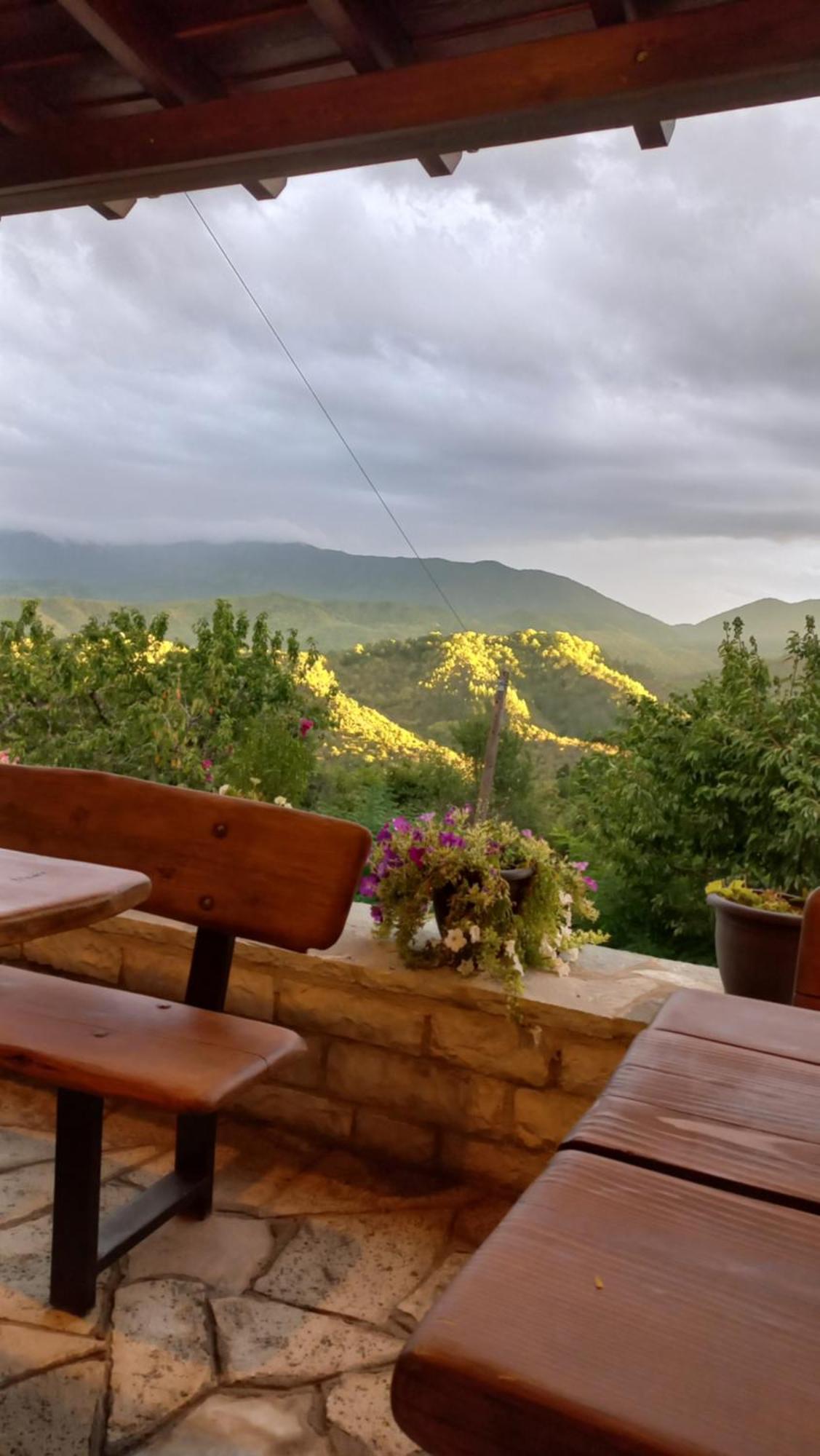 Guesthouse Selini Vitsa Exterior photo