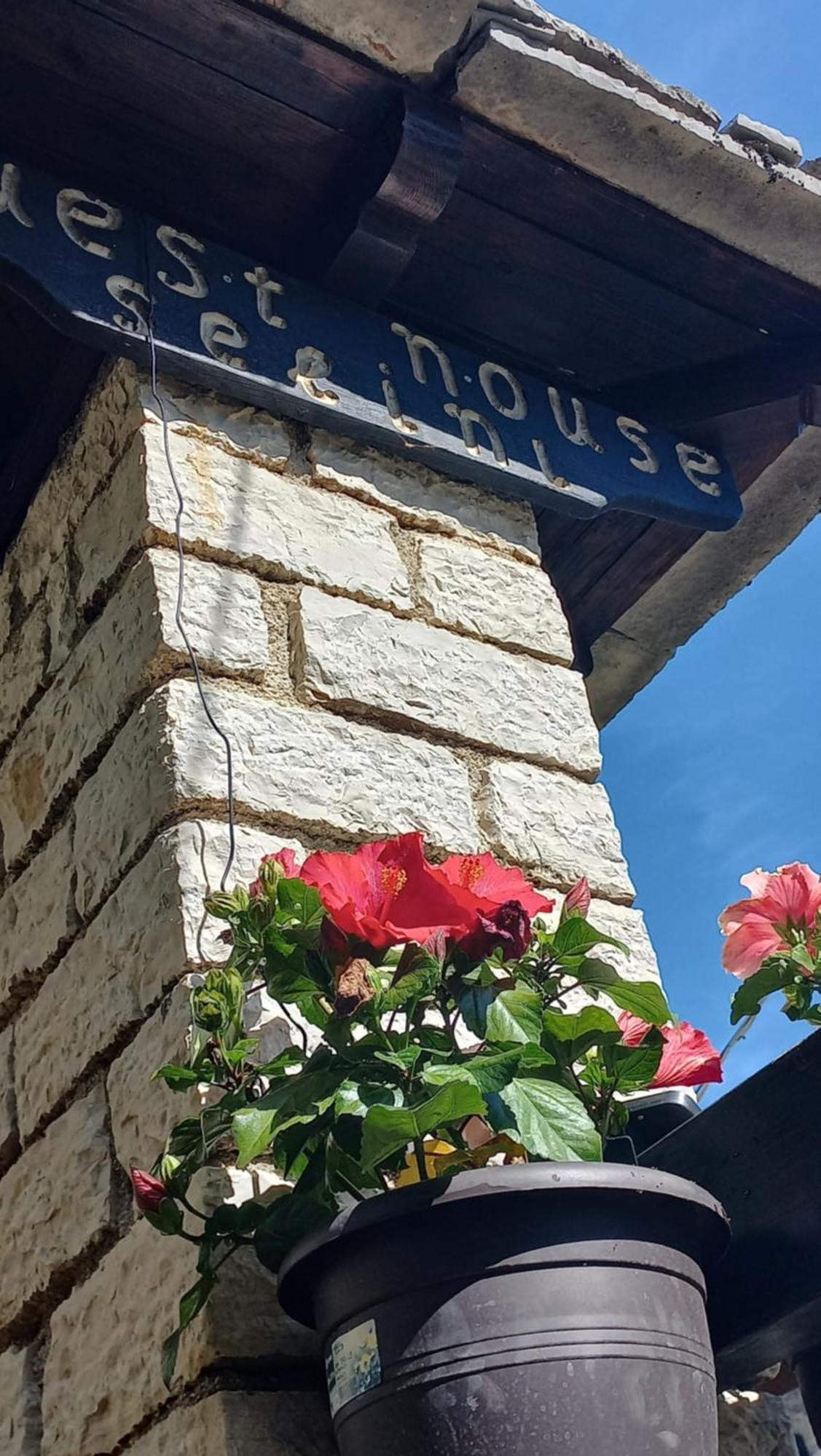 Guesthouse Selini Vitsa Exterior photo